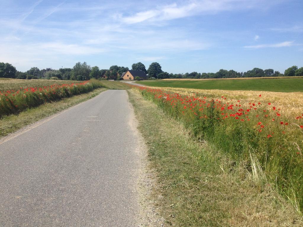 Kildegaarden Bed&Breakfast Frorup Eksteriør billede